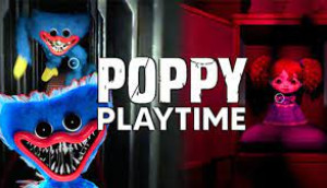 poppy play night poppy play night